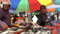 Ikan yang dijual di Tempat Pelelangan Ikan (TPI) kelurahan Tenda, Kecamatan Hulonthalangi, Kota Gorontalo, Selasa 29 Juli 2025. [foto:fikar/nusantara1]