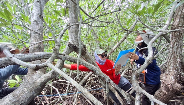 Proses penelitian yang dilakukan oleh Japesda dan Blue Ventures. [foto:istjapesda]