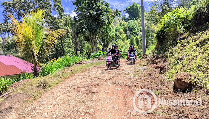 Warga keluhkan jalan rusak penghubung Malahu - Tapaluluo. [foto:juna/nusantara1]