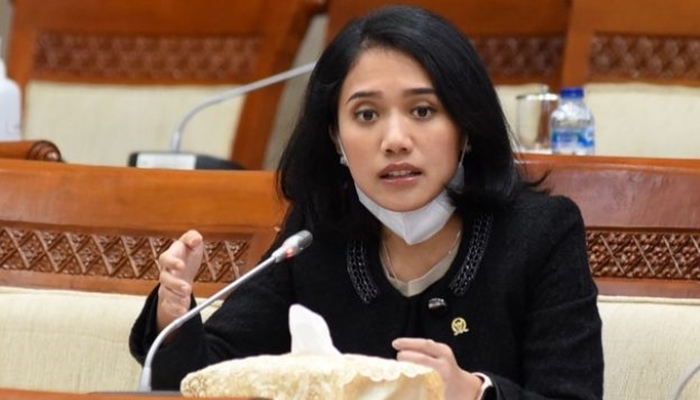 Anggota Komisi XI DPR RI Fraksi Partai Golkar, Puteri Komarudin