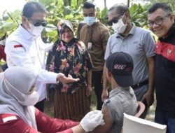 Penjabat Gubernur Gorontalo, Hamka Hendra Noer saat meninjau imunisasi anak di Desa Mutiara Laut, Kecamatan Tomilito, Kabupaten Gorontalo Utara, Sabtu (16/7/2022). (Foto: Istimewa)