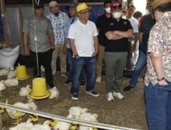 Botu 22 Penjabat Gubernur Gorontalo, Hamka Hendra Noer saat meninjau peternakan ayam broiler di Desa Bakti, Kecamatan Pulubala, Kabupaten Gorontalo, Ahad (17/7/2022). (Foto: Istimewa)