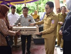 Penjagub Hamka Hendra Noer saat menyerahkan bantuan bibit ayam DOC kepada perwakilan kelompok ternak ayam, saat kunjungan kerja ke Dinas Pertanian Provinsi Gorontalo, Senin (7/11/2022). (Foto:Ist/ Diskominfotik)