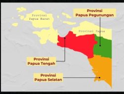 Tiga DOB di Papua yakni Papua Selatan, Papua Pegunungan, dan Papua Tengah. (Foto: Ist)