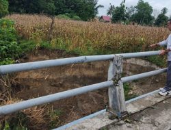 Anggota DPRD Kabupaten Gorontalo, Aleg Ali Polapa saat meninjau lokasi jembatan yang sudah tergerus pinggirannya dan butuh penangan yang lebih. (Foto: Ist)