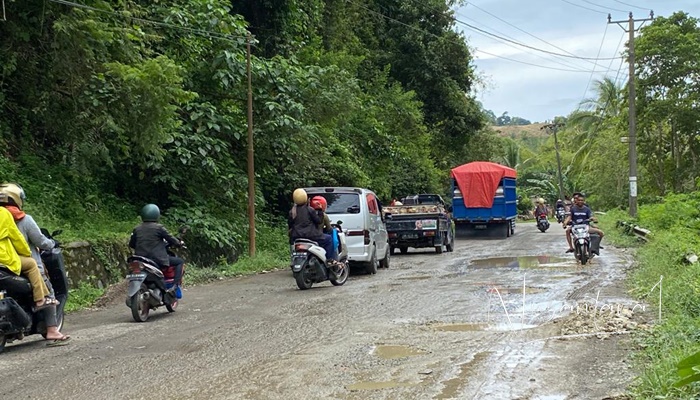 Salah satu sudut Jalan Trans Sulawesi di Tibawa yang rusak para. (Foto: Nusantara1)