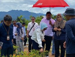 Kunjungan awal Sekmil RI dan Kementan RI bersama Wakil Bupati Merlan Pou di Kebun Cabai Al-Hidayah Kecamatan Suwawa. (Foto: Ist)