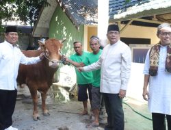 Kapolda Gorontalo, Irjen Pol Drs. Angesta Romano Yoyol, MM saat menyerahkan hewan kurban secara simbolis. (Foto: Ist)