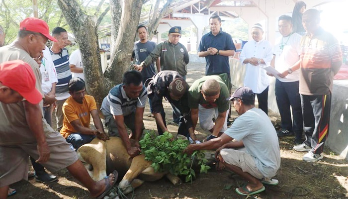 Proses penyembelihan hewan kurban di kantor Sekretariat DPRD Provinsi Gorontalo, Jumat (30/6) (Foto: Ist)