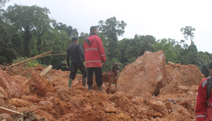 Proses pencarian korban tanah longsor di lokasi tambang emas Suwawa Timur beberapa waktu lalu. Kini proses pencarian resmi dihentikan. [foto:ist]