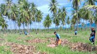 Hadirnya PT. Lebuni di Kecamatan Popayato, Pohuwato mendapat respon positif dari warga sekitar karena dapat membuka lapangan kerja. [foto:ist]