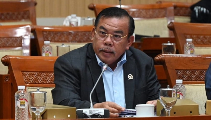 Anggota Komisi III DPR RI, Mangihut Sinaga
