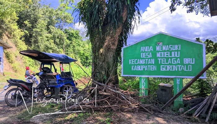 Desa Modelidu