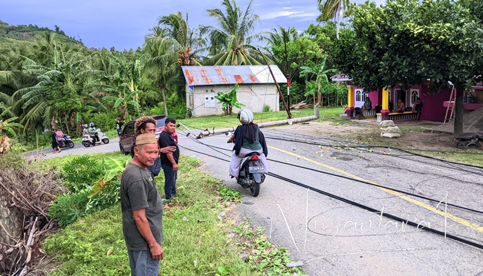Tiang listrik yang tumbang di Desa Mamungaa Bone Bolango. [foto:juna/nusantara1]