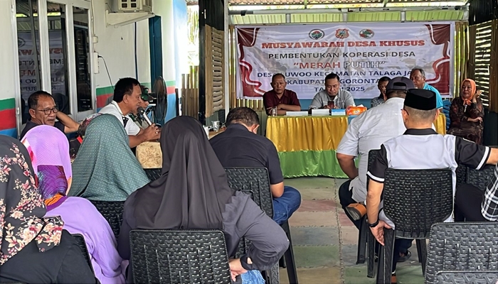 Koperasi 2