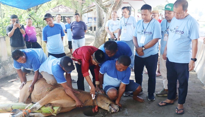 Proses penyembelihan hewan kurban oleh Sekretariat DPRD Provinsi Gorontalo di halaman Masjid Jabal Musyawarah, Ahad 8 Juni 2025. [foto:ist]