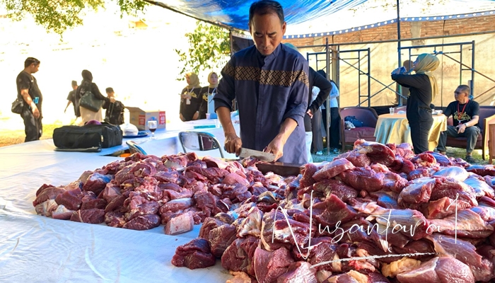 Proses pemotongan daging kurban yang akan dibagikan kepada masyarakat sekitar, oleh Hotel Grand Q Gorontalo, Sabtu 7 Juni 2025. [Foto: Fikar Buntuan/Nusantara1]