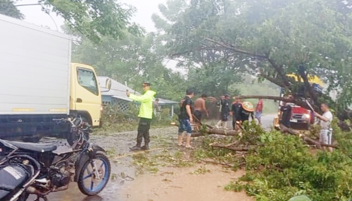 Personil Polsek Paguat bersama masyarakat membersihkan material pohun tumbang. [foto:ist/humas]