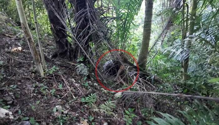 Mayat tanpa identitas (lingkaran merah) gegerkan warga Desa Daenaa, Limboto Barat, Kabupaten Gorontalo. [foto/ist/felix:warga]