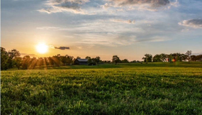 Ilustrasi. Tanah yang diterlantarkan akan disita oleh negara. /ist