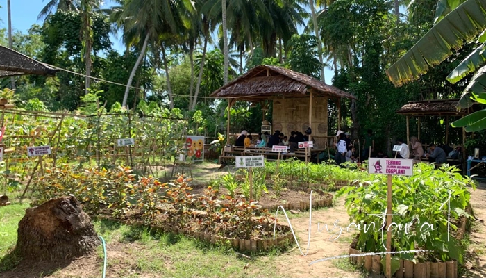 Suasana Sekolah Kampung [foto:fikar/nusantara1]