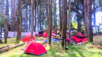 Camping ceria di kawasan Hutan Pinus Dulamayo. [foto:juna/nusantara1]