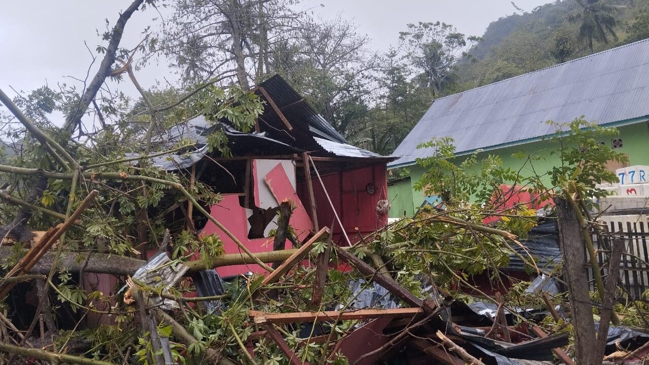 Dua rumah warga yang rusak akibat tertimpa pohon tumbang, Selasa 18 November 2025. [foto: BPBD]