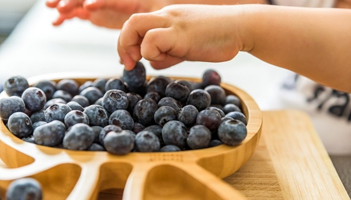 Ilustrasi. Salah satu makanan yang dalam membantu awet muda yakni blueberry karena kaya antioksidan [foto:dok/alodokter]