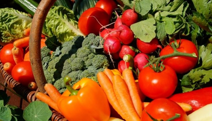 Ilustrasi. Serat merupakan komponen penting dalam pola makan sehat [foto:dok/yoursay]