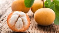 Ilustrasi. Ada banyak manfaat buah kecapi untuk kesehatan [foto:dok/alodokter]