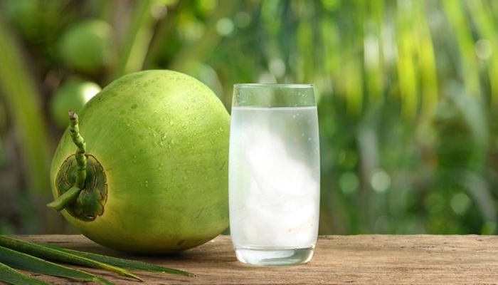Ilustrasi. Kelapa muda, terutama airnya punya banyak manfaat kesehatan [foto:dok/alodokter]
