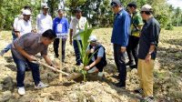 Bupati Gorontalo, Sofyan Puhi saat menanam kelapa [fot:dok]