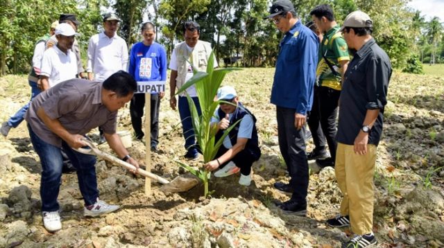 Bupati Gorontalo, Sofyan Puhi saat menanam kelapa [fot:dok]