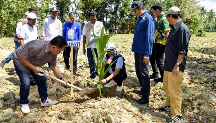 Bupati Gorontalo, Sofyan Puhi saat menanam kelapa [fot:dok]