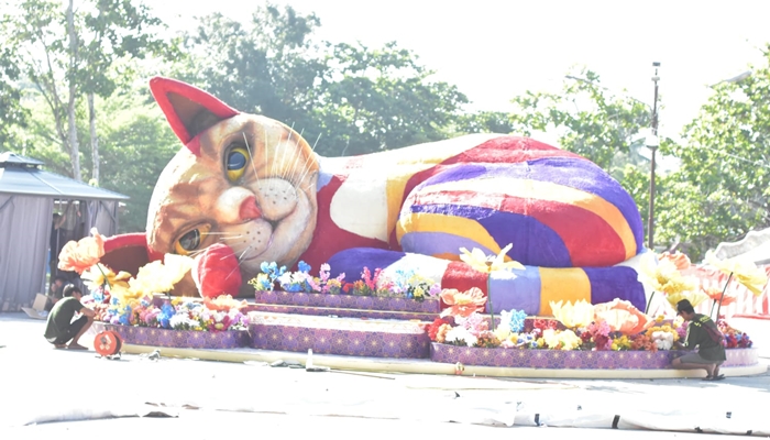 Kucing 1