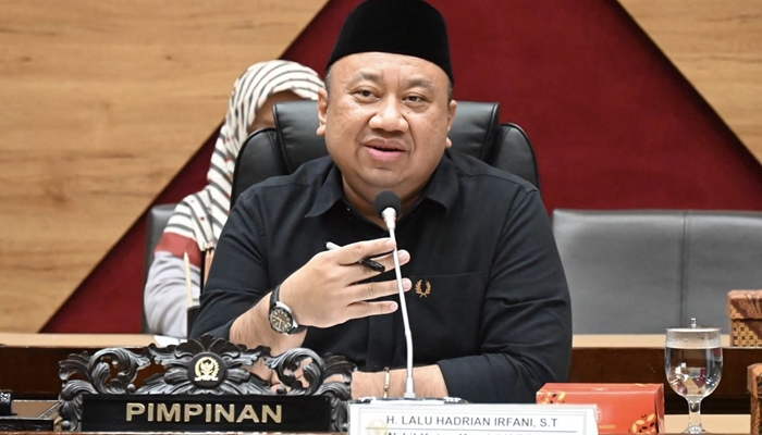 Wakil Ketua Komisi X DPR RI Lalu Hadrian