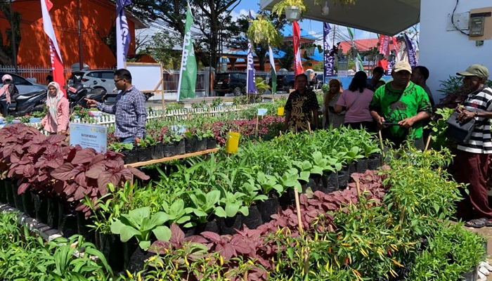 Pekarangan di Penas