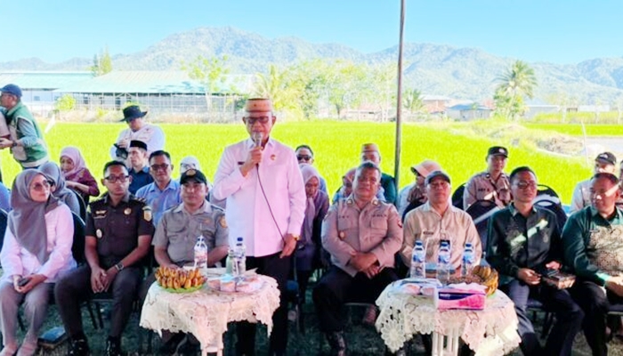 Bupati Bone Bolango, Ismet Mile, saat menghadiri Gerakan Tanam Serempak Padi Metode PM-AAS yang dipusatkan di lahan Kelompok Tani Mutiara, Desa Talango, Kecamatan Kabila, Kamis 30 Juli 2026. [foto:dok/prokopim]