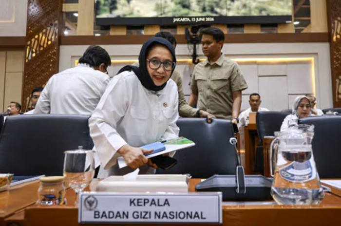 Nanik S Deyang iba-tiba, Kepala BGN Nanik S Deyang Mundur