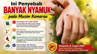 Ilustrasi. Musim kemarau banyak nyamuk sangat berkaitan dengan suhu dan kondisi lingkungan selama musim kemarau. [foto:dok]