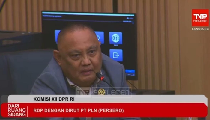 Anggota Komisi XII DPR RI Rusli Habibie. [foto:dok/tangkapan layar]