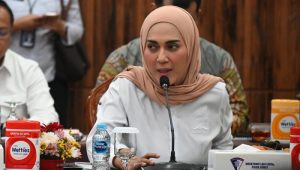 Wakil Ketua DPR RI Sari Yuliati