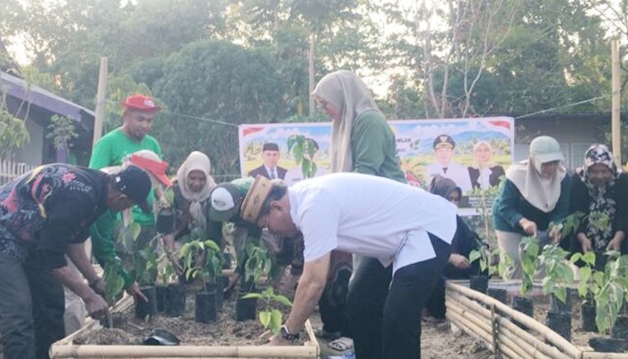 Sekretaris Daerah Bone Bolango, Iwan Mustapa saat melakukan penanaman cabai di Lahan Pekarangan Nila Bioflok Iswan, Kecamatan Suwawa, Jumat 25 September 2026. [foto:dok/kominfo]