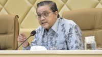 Wakil Ketua Umum Partai Demokrat, Dede Yusuf